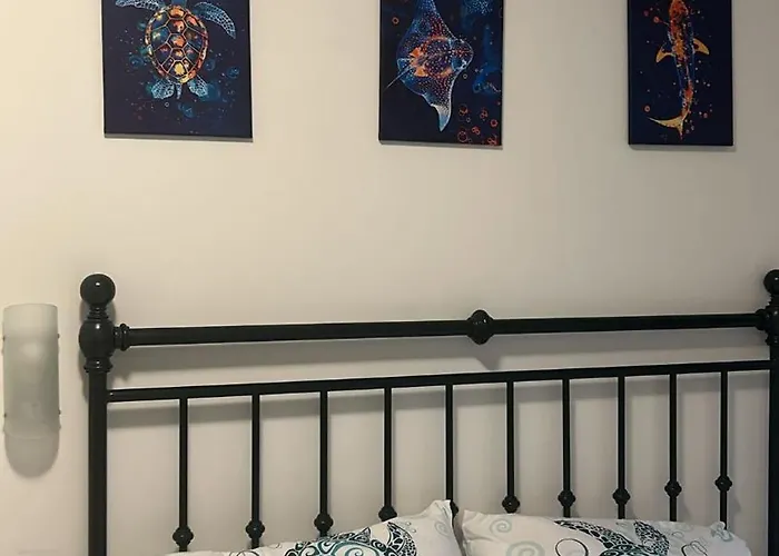 Apartmán Casa Conchiglia 6 Ospiti 10 Min Mare E Centro *